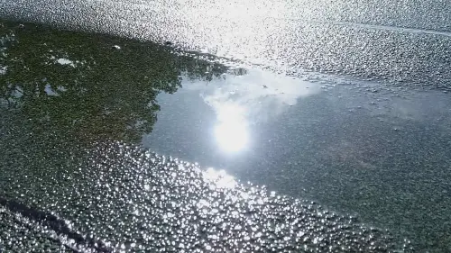 Dachbegrünung schützt die Abdichtung