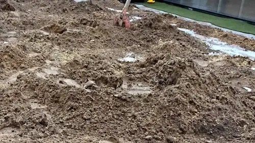 Regenwasser muss auf dem Gründach versickern