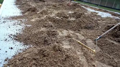 In welcher Erde wachsen Pflanzen auf dem Dach