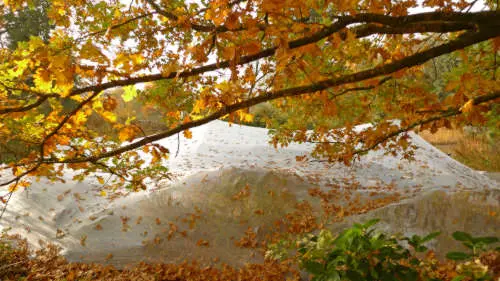 Teich mit Laubschutznetz