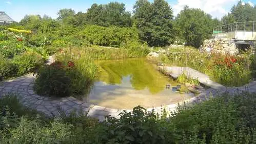 Teiche im Park - Bild 6