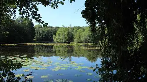 Wasserwildnis - Bild 2