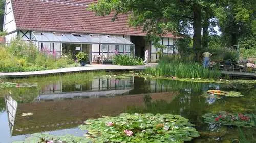 Teich hinter dem Café Seerose - Bild 3