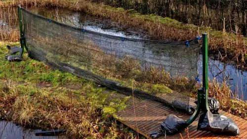 So funktioniert die Laubfang-Wand