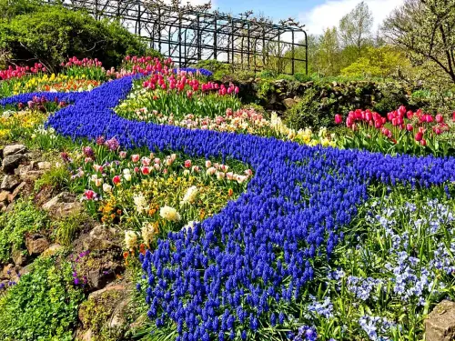 Frühlingsblüte 2023 - Bild 2