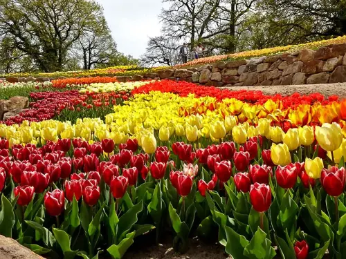 Frühlingsblüte 2023 - Bild 3