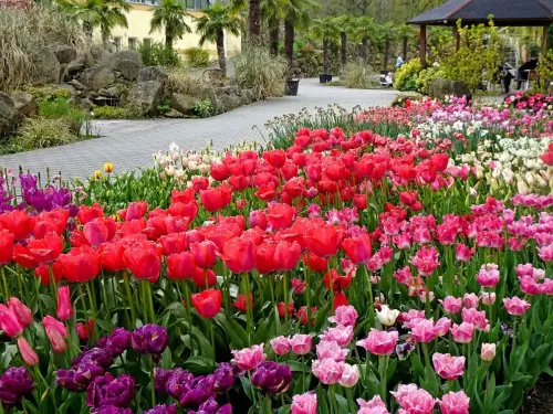 Frühlingsblüte 2023 - Bild 6