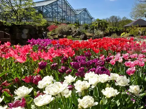 Frülingsblüte 2023 - Bild 8