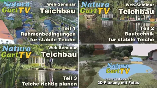 Wir begleiten Ihren Planungsprozess mit 4 Videos