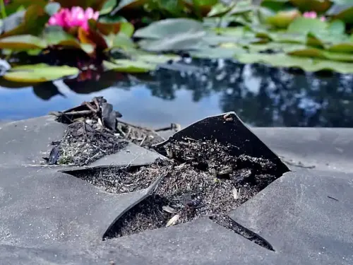 Die richtige Teichbau-Lösung: gute Weichmacher und optimaler Einbau