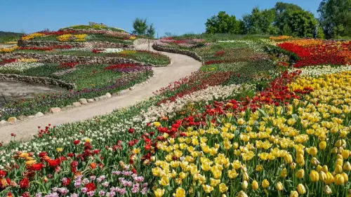 Auch als Sortimente erhältlich