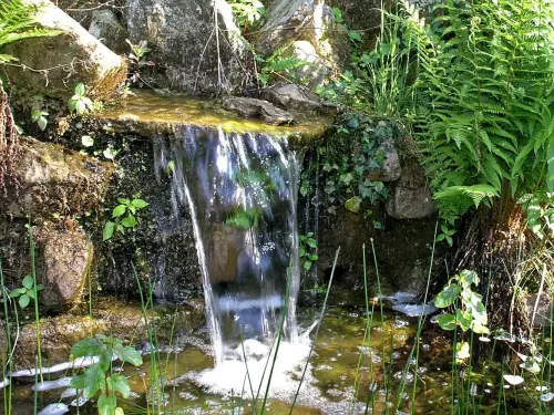 Mit nur einer Pumpe: Das Teichwasser wird gefiltert und fliesst über einen kleinen Bach zurück
