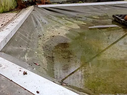 Einfachere Weichmacher machen Teichfolien billig - sind aber nicht nachhaltig