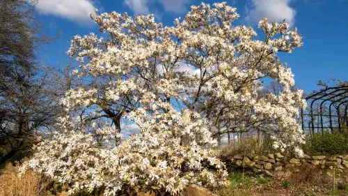 Optimales Preis-Leistungs-Verhältnis