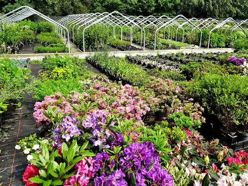 Vielfältige Auswahl