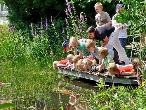 Bis 1,5 m freitragend über den Teich