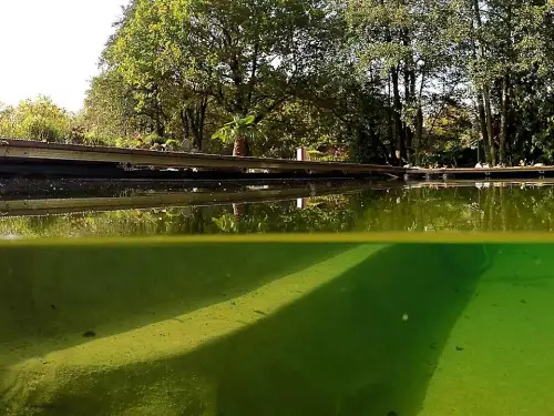 Sicherheits-Stufe im Teich