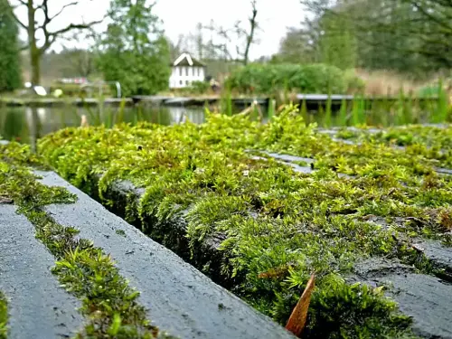 Holzstege: oft schnell kompostiert