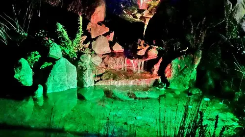 Teichbeleuchtung mit Gartenlampen