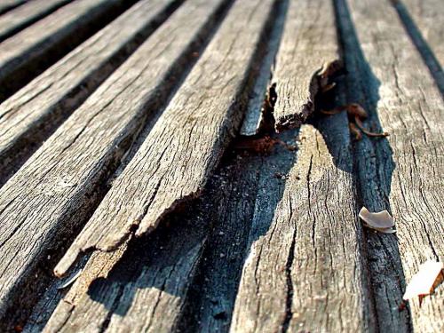 Holzfasern sind auf Badestegen kritisch