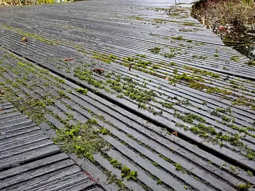 Oberflächen aus Holz muss man pflegen