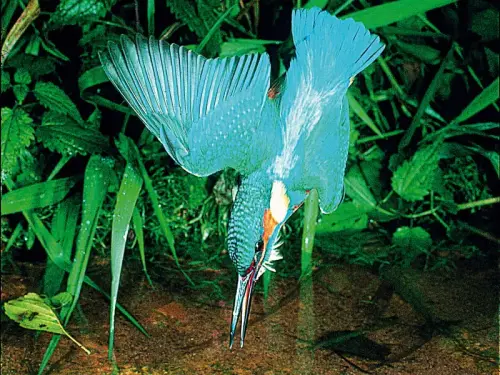 Der Park von NaturaGart ist ein Naturparadies