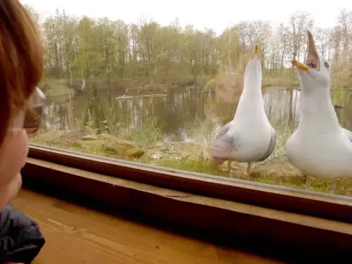 Es gibt ein Naturkontakt-Programm für Kinder