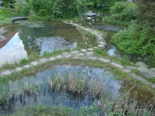 Typische Risiken bei Naturteichen