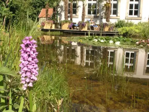 Wie Naturteiche altern - Sediment, Laub & Verlandung
