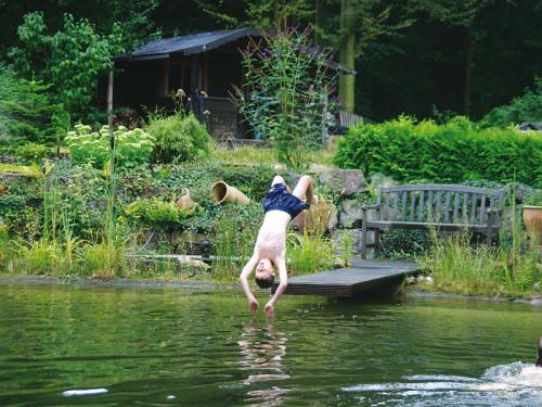 Teich-Probleme natürlich lösen