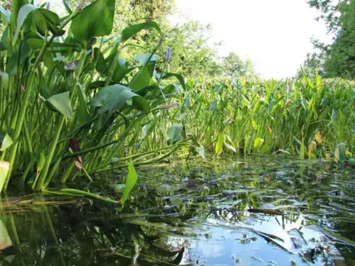 Filtergraben-Technik
