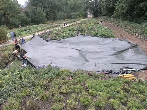 Schwimmteich - Abdichtung