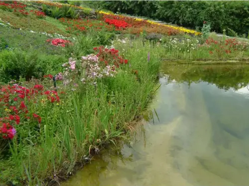 Was bei der Bepflanzung des Schwimmteiches anders ist