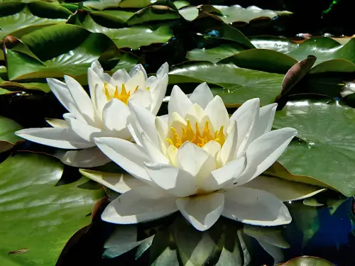 Schon immer faszinierend