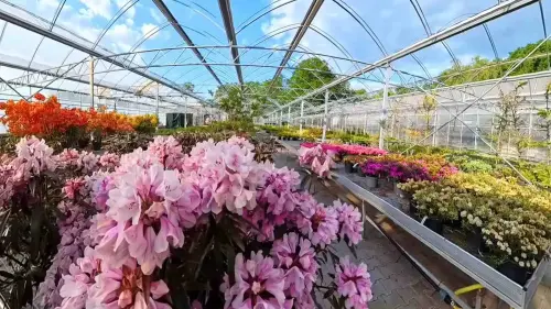 Lange Freude an Stauden