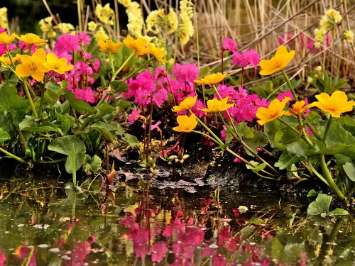 Passend für jeden Teich