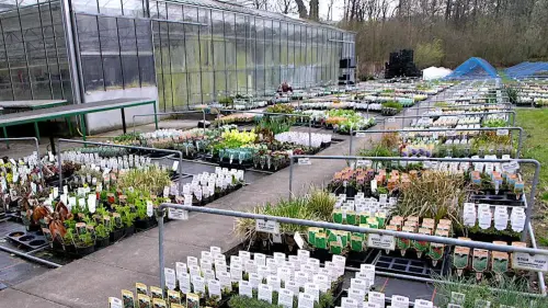 NaturaGart kultiviert selbst