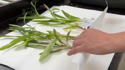 Informieren und bestellen