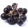Artikelbild 1 des Artikels “Apfelbeere “