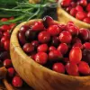 Artikelbild 1 des Artikels “Cranberry “