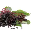 Artikelbild 1 des Artikels “Ernte-Hecke 1 “