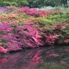 Artikelbild 1 des Artikels “Japanisches Ufer 6 “