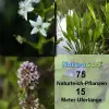 Artikelbild 1 des Artikels “Natur-Teichpflanzen 75 “