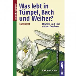 Was lebt in Tümpel, Bach und Weiher? Pflanzen und Tiere unserer Gewässer 