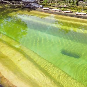Schwimmteich 200 m³, preiswerte Bauweise 