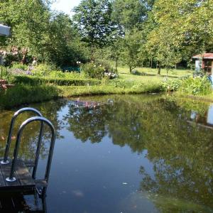 Schwimmteich 400 m³, preiswerte Bauweise 