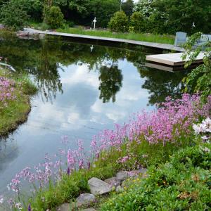 Schwimmteich 500 m³, sicherste Bauweise 