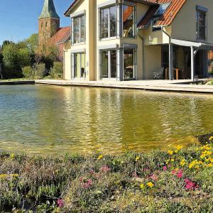 Schwimmteich 600 m³, preiswerte Bauweise 