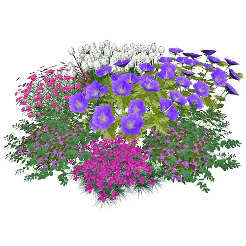 Teich-Umfeld, sonnig, niedrig 10