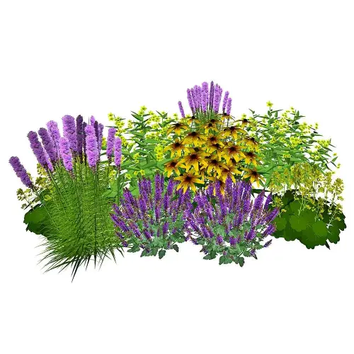 Teich-Umfeld, sonnig, halbhoch 10